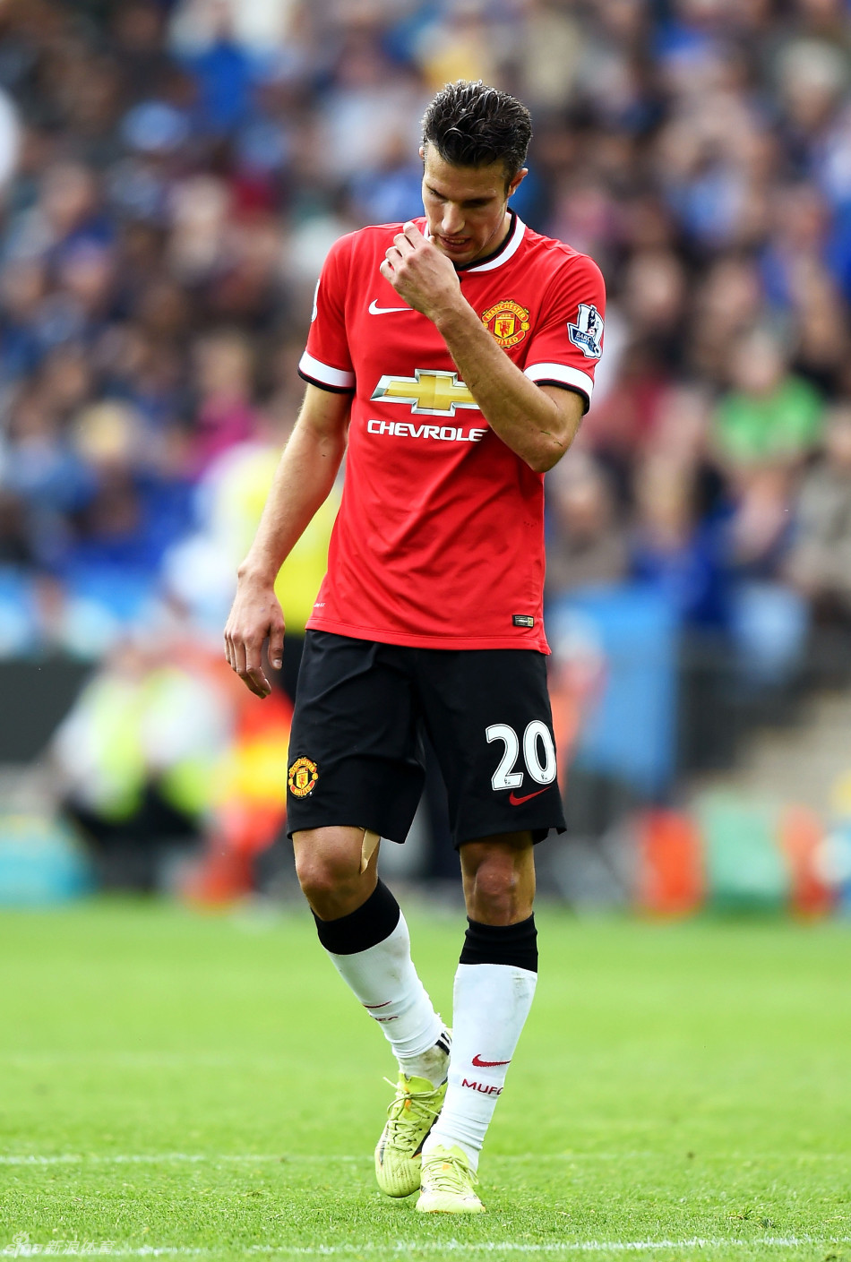 《Apex英雄》第八赛季情报公开